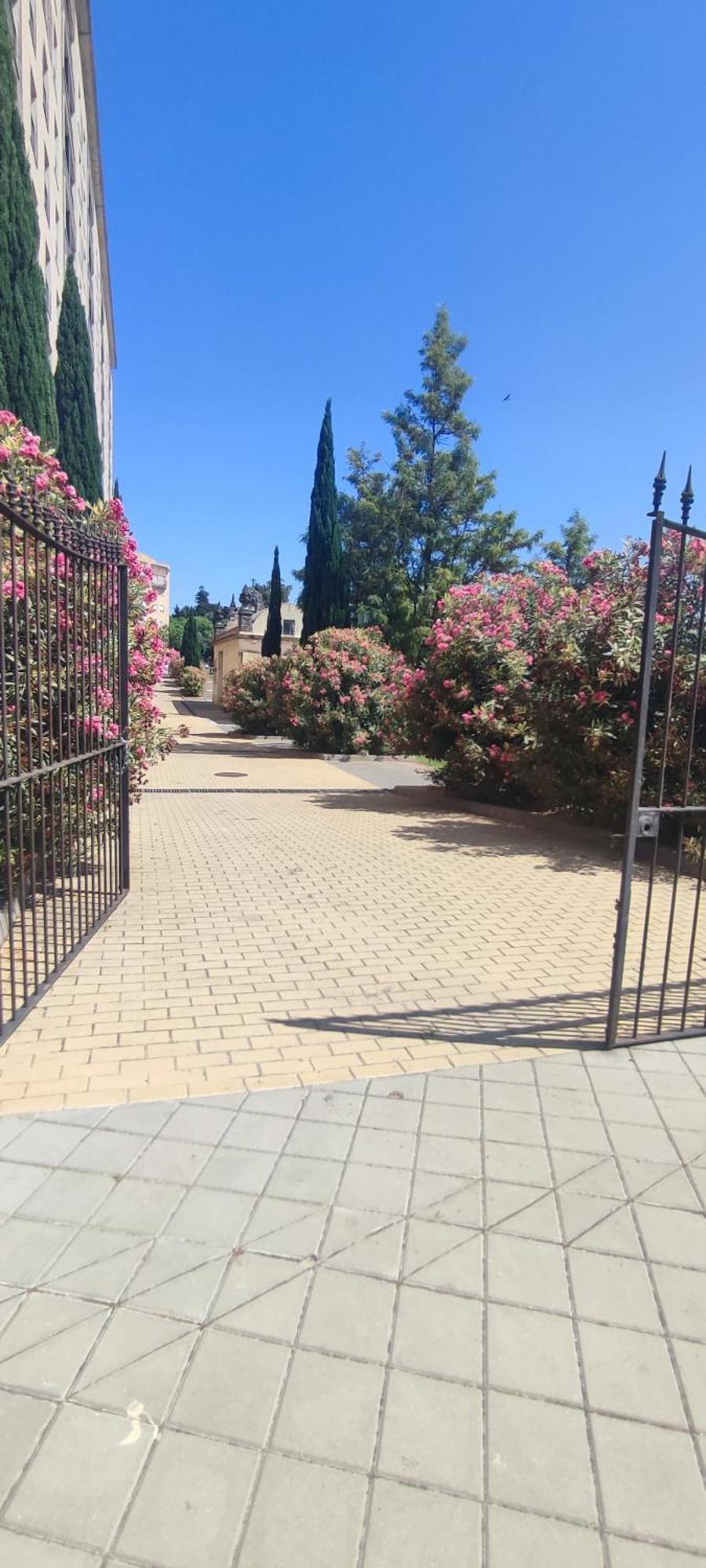 Apartmán Cuatro Caminos Centro Jerez Jerez de la Frontera Exteriér fotografie