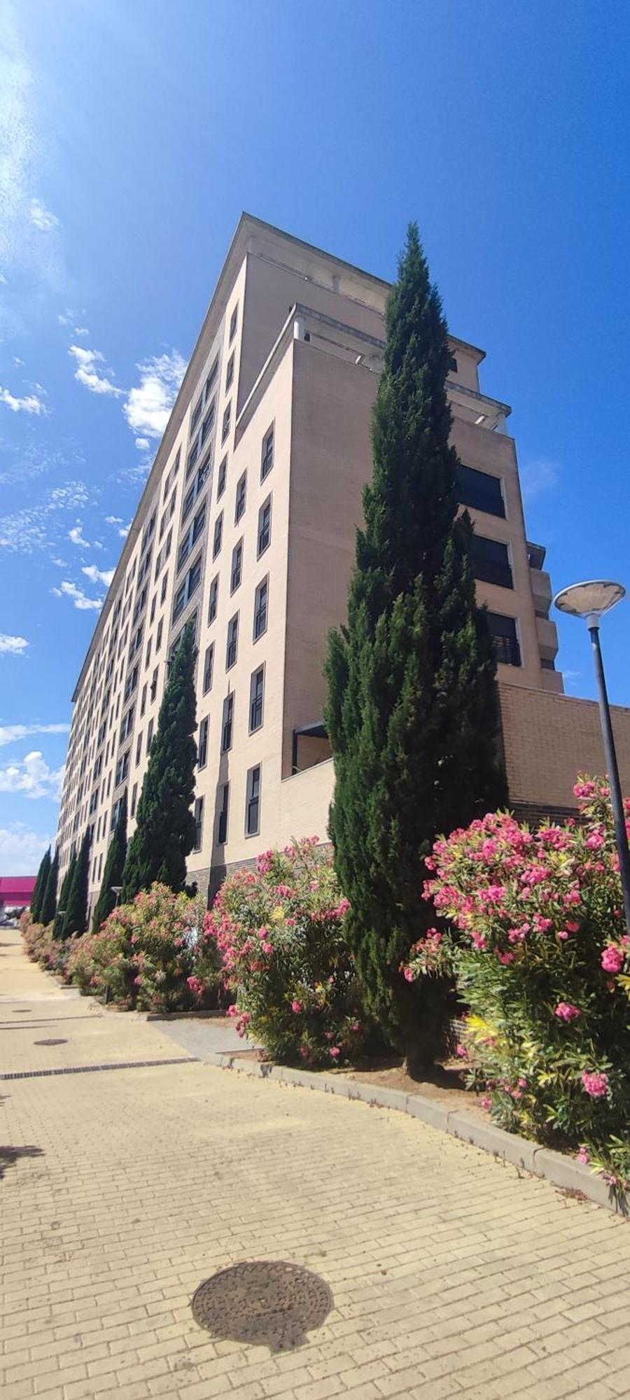 Apartmán Cuatro Caminos Centro Jerez Jerez de la Frontera Exteriér fotografie